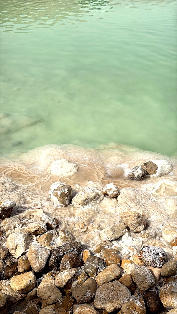 orcoheen instagram image archive image