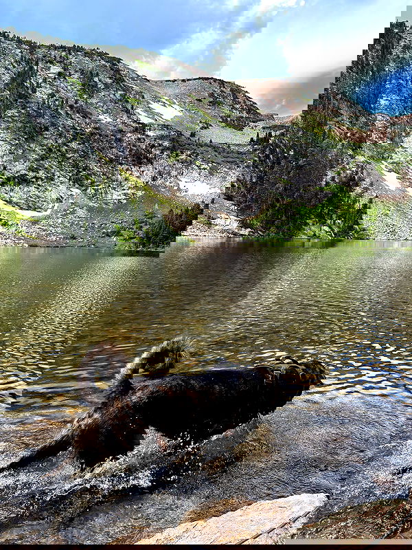 thelizzyporter thelizzyporter archive image