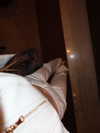 levsave Altpins Profile Picture