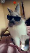 luvstuff3r Altpins Profile Picture