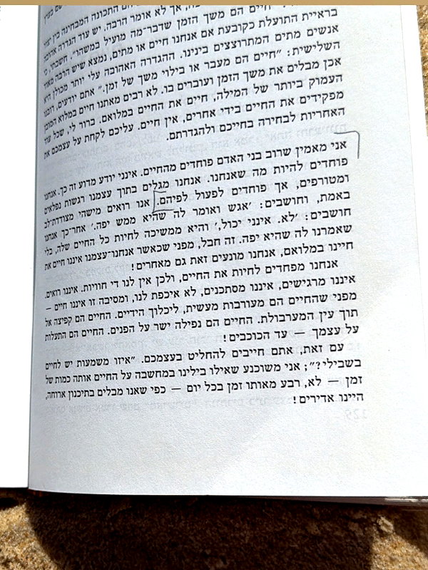 efrat_elmalich instagram image archive image