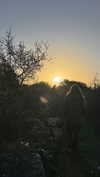 _hilaluu Altpins Profile Picture