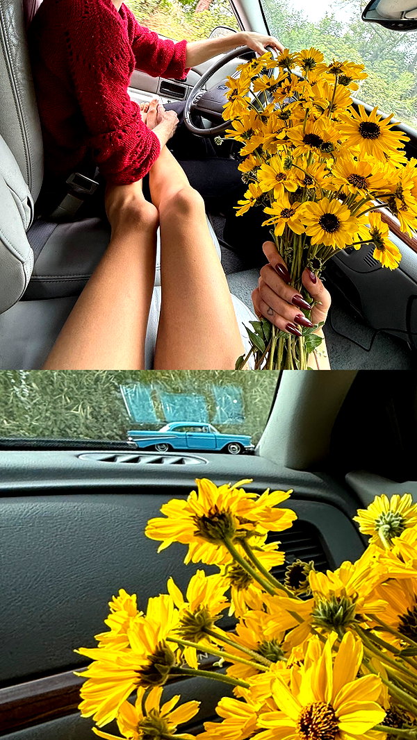 leonanaomii instagram image archive image