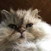 777pb_ Altpins Profile Picture