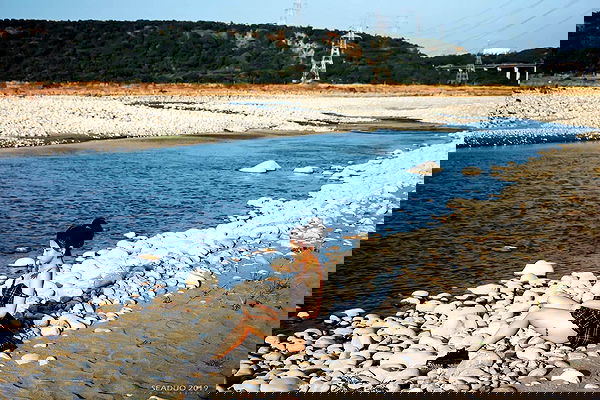 ting851204 ting851204 archive image