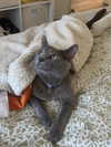 itsclairerice Altpins Profile Picture