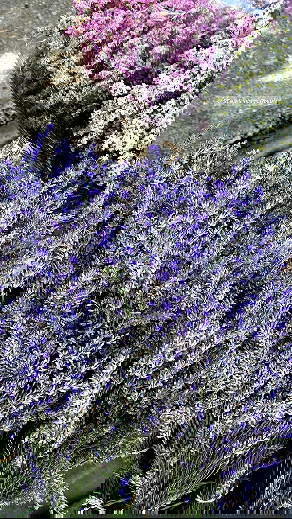 taylor.creeden taylor.creeden archive image