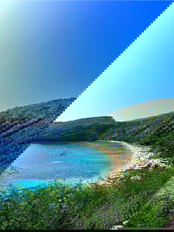 ellamwatts_ ellamwatts_ archive image