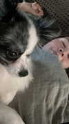 sunnyrayyxo Altpins Profile Picture
