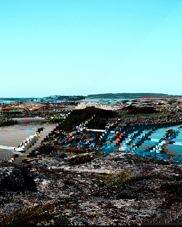 taylor.creeden taylor.creeden archive image