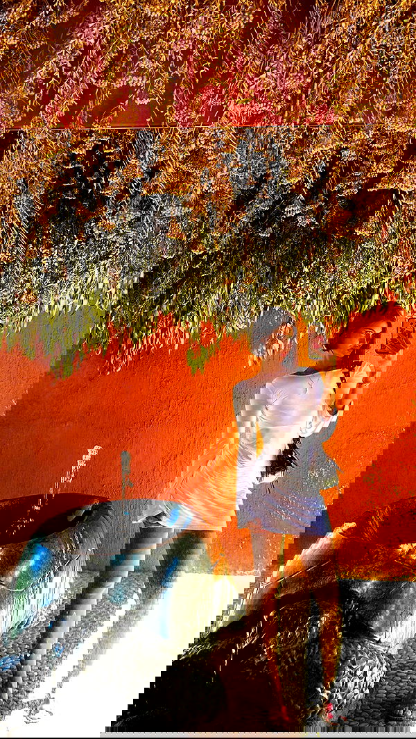 taylor.creeden taylor.creeden archive image