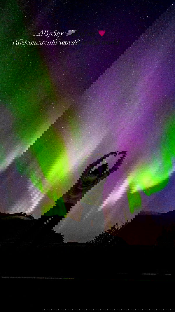 taylor.creeden taylor.creeden archive image