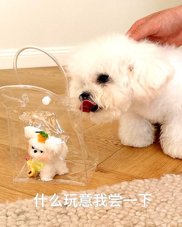 ll.lu1s instagram image archive image