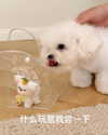 ll.lu1s Altpins Profile Picture
