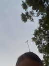 arianagrande Altpins Profile Picture