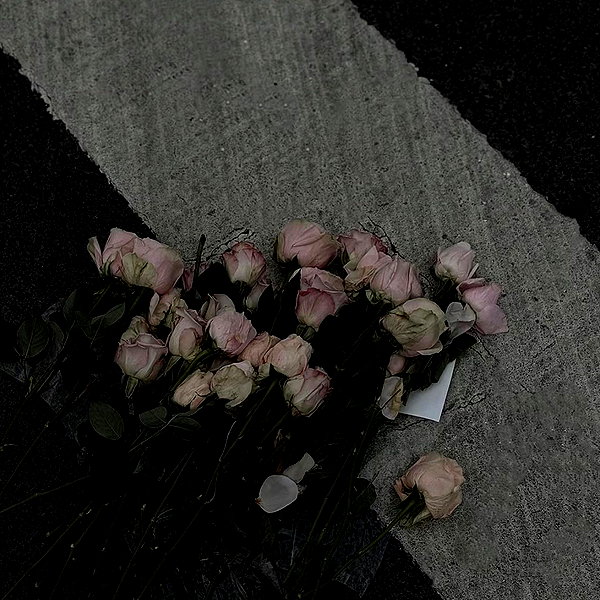 ynnu1sa instagram image archive image