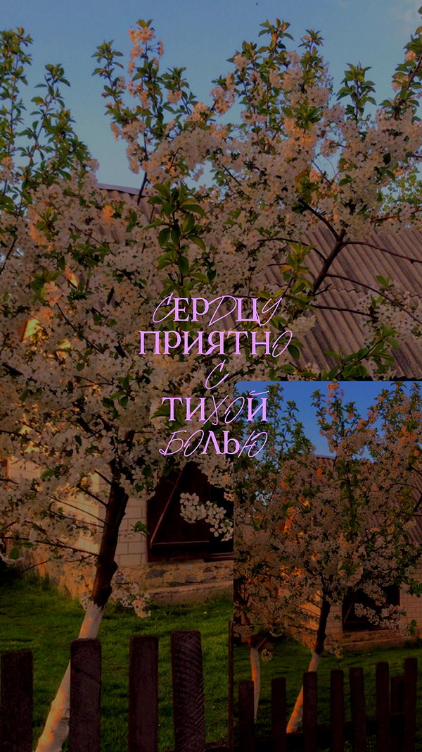 alisen.mari archive image