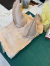 _vantafemme_ Altpins Profile Picture
