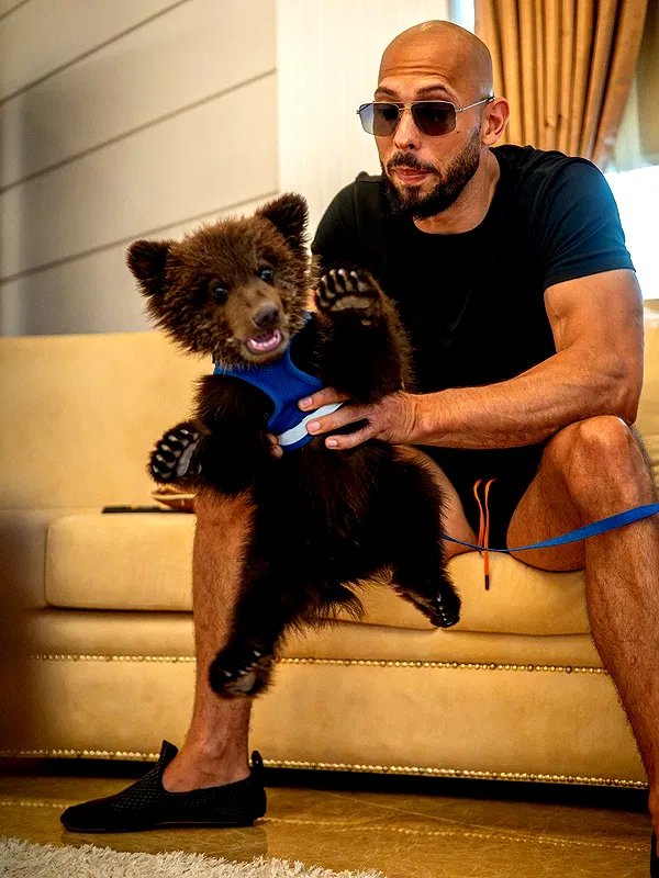 tateauraa tateauraa archive image