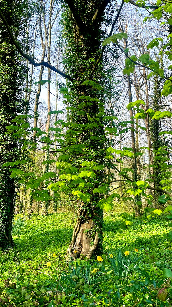 mollieruck instagram image archive image