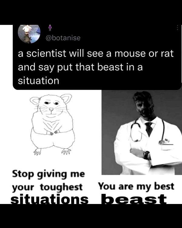 leanbeefpatty instagram image archive image