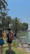 libby_reut Altpins Profile Picture