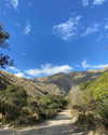 solzarubin_ Altpins Profile Picture