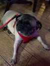 ohheyanastasia Altpins Profile Picture