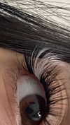 babynympho_archive Altpins Profile Picture