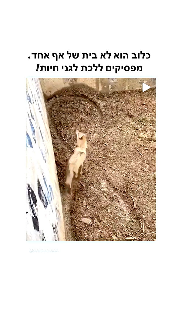 kesemgreenyer instagram image archive image