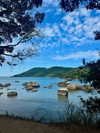 michalcohen___ Altpins Profile Picture