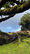 ayguldavlletova Altpins Profile Picture