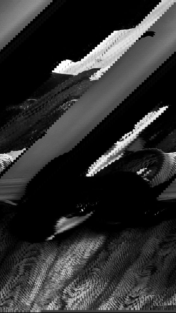 6nattynat9 6nattynat9 archive image