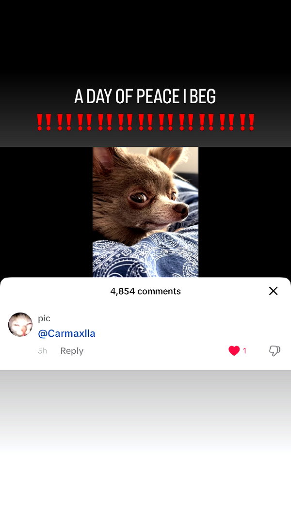 carmaxlla instagram image archive image