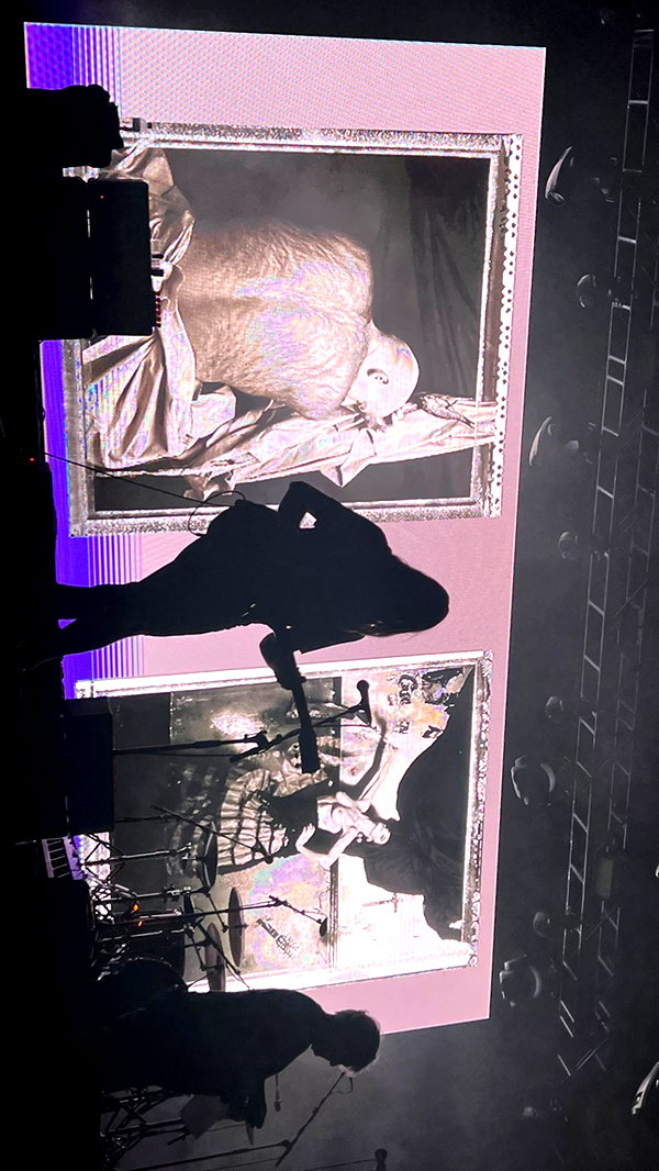 liamercii instagram image archive image