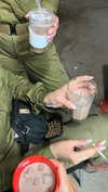 _ariel_lll Altpins Profile Picture