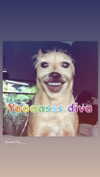 babynympho_archive Altpins Profile Picture