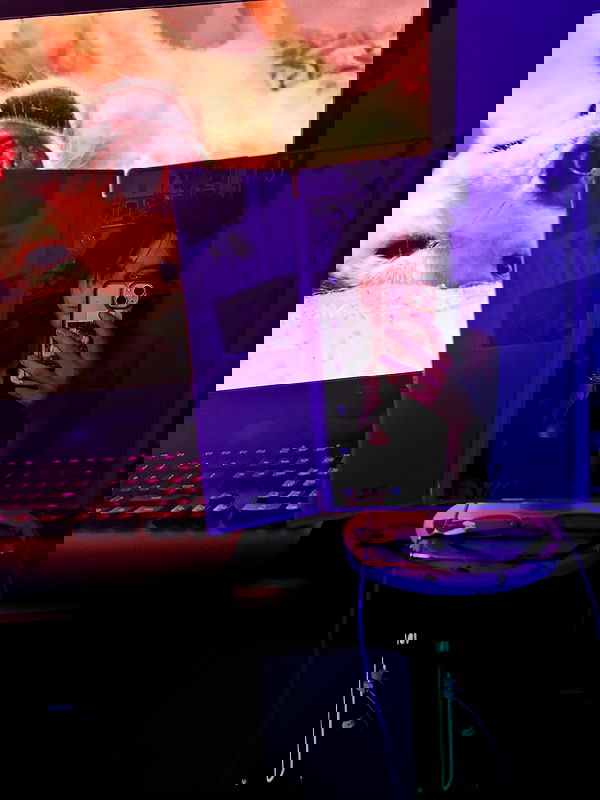 _animechika_ image ~ Altpins