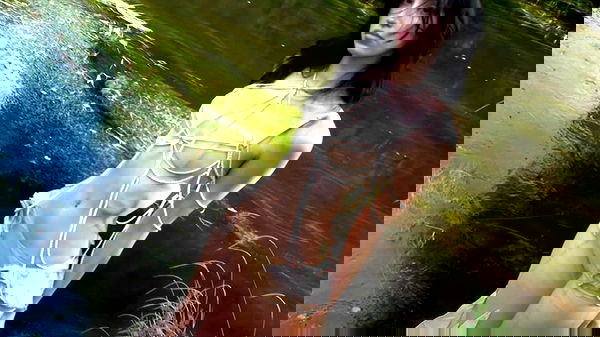 quincymood quincymood archive image