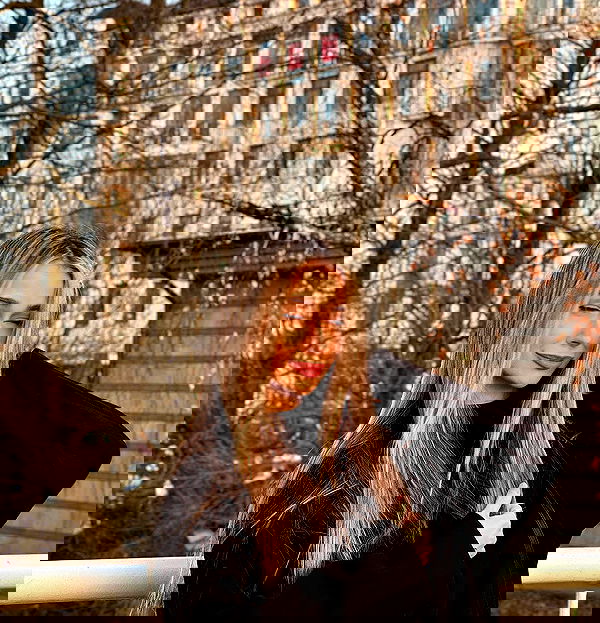 pinx_ir pinx_ir archive image