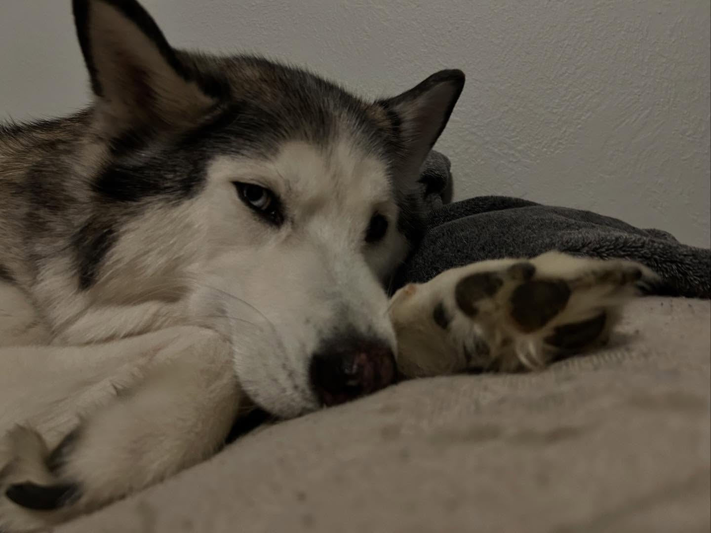 _animechika_ instagram image archive image