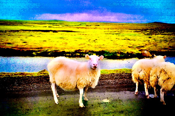 bugz4brainz instagram image archive image