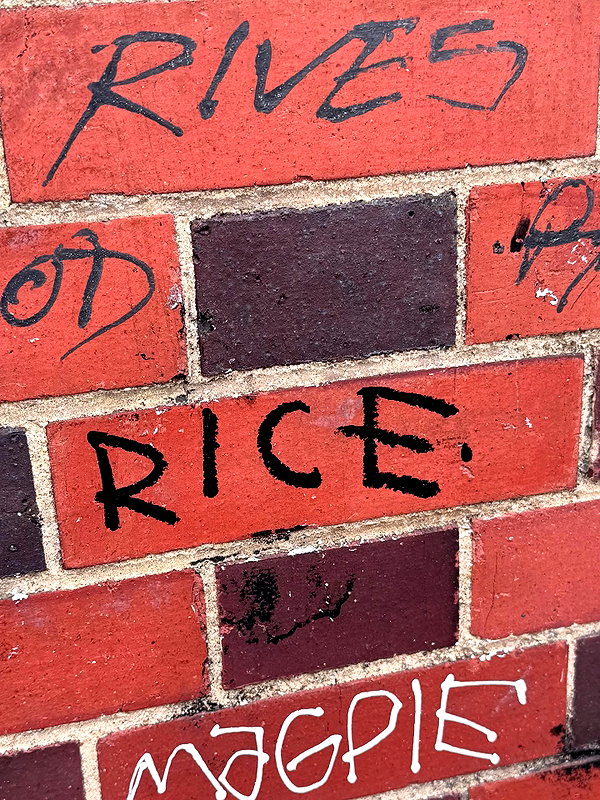 itsclairerice instagram image archive image