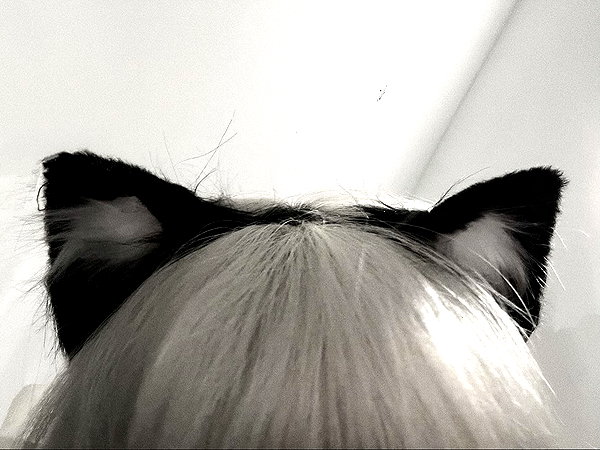 milkyzz_00 instagram image archive image