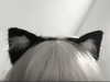 milkyzz_00 Altpins Profile Picture