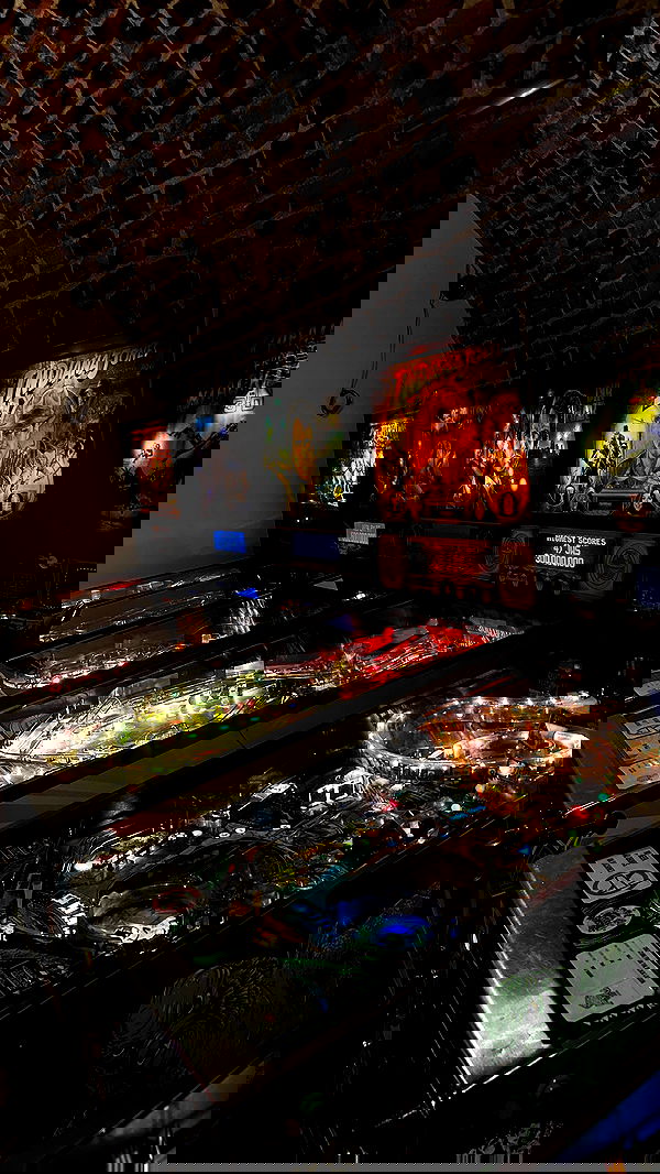 mishel116 mishel116 archive image