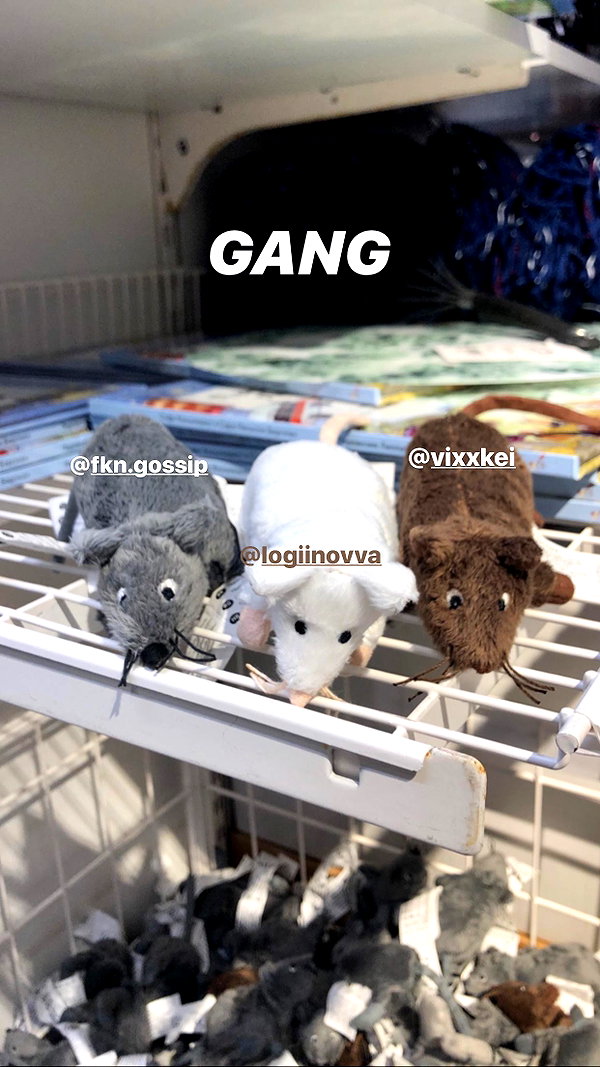 veroni22ka veroni22ka archive image