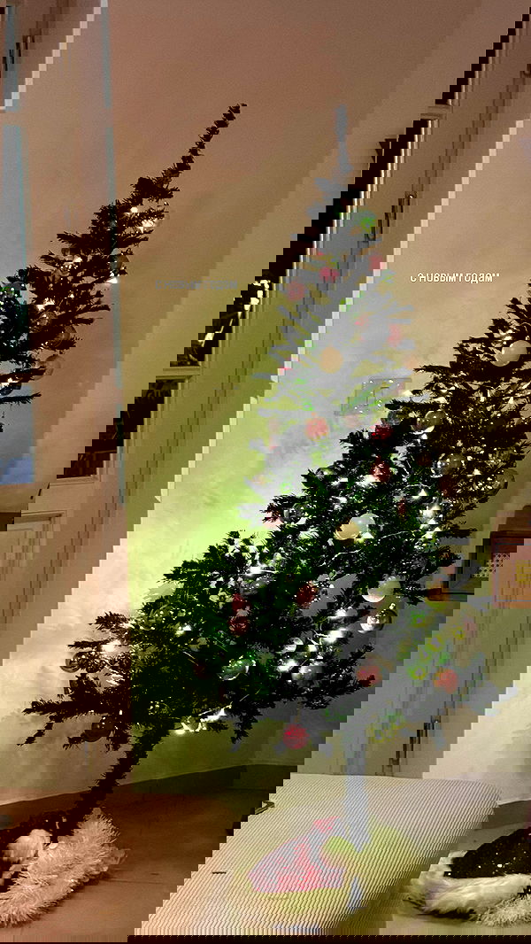 iambohema.v2 iambohema.v2 archive image