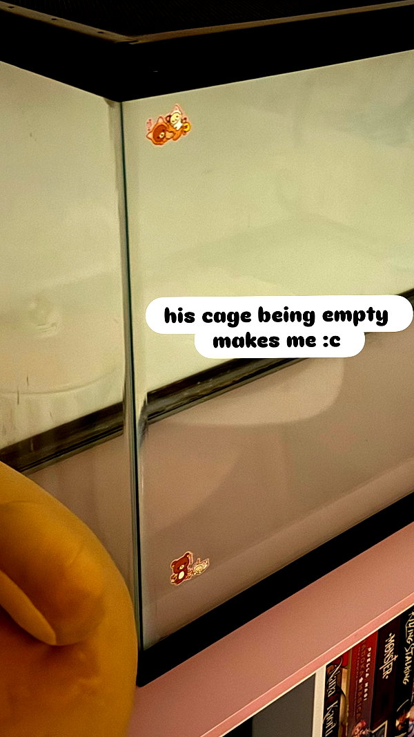 mennyaah instagram image archive image