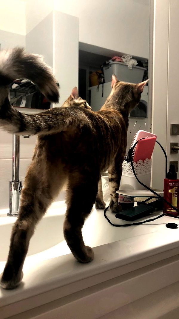 Archived image from @notchicore on Instagram